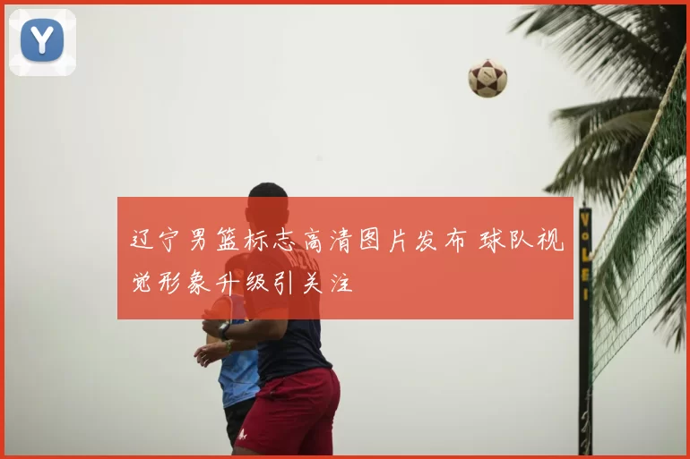 辽宁男篮标志高清图片发布 球队视觉形象升级引关注