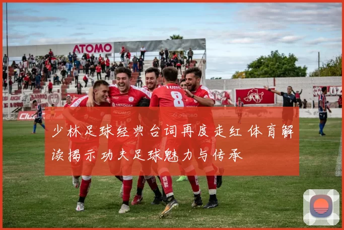 少林足球经典台词再度走红 体育解读揭示功夫足球魅力与传承