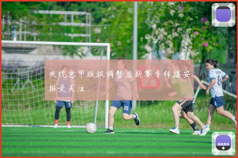 央视意甲版权调整后新赛季转播安排受关注